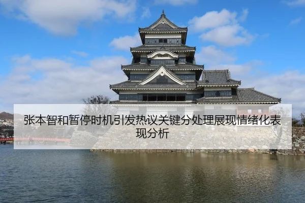 张本智和暂停时机引发热议关键分处理展现情绪化表现分析