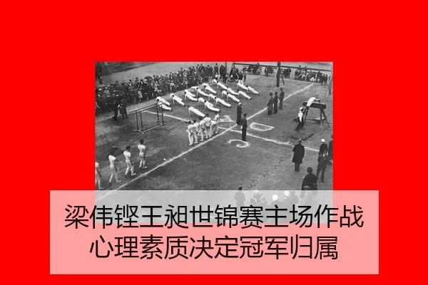 梁伟铿王昶世锦赛主场作战 心理素质决定冠军归属