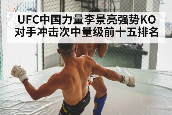 MMA fight