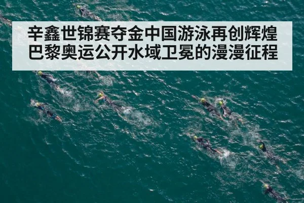 辛鑫世锦赛夺金中国游泳再创辉煌巴黎奥运公开水域卫冕的漫漫征程