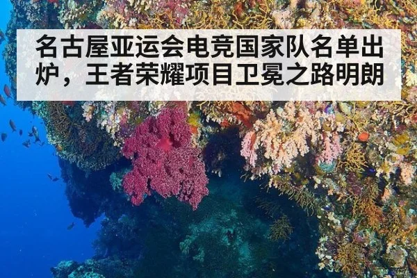 名古屋亚运会电竞国家队名单出炉，王者荣耀项目卫冕之路明朗